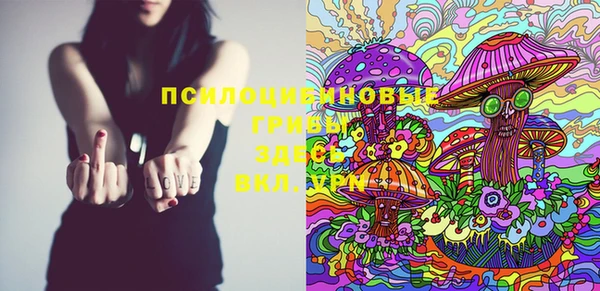 PSILOCYBIN Алзамай