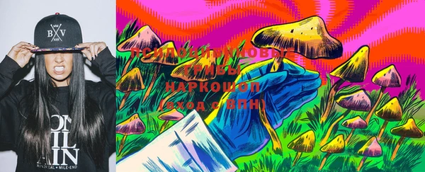 соль ск Алексеевка