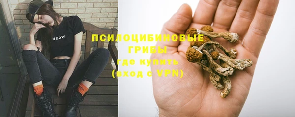 гидропоника Алексин