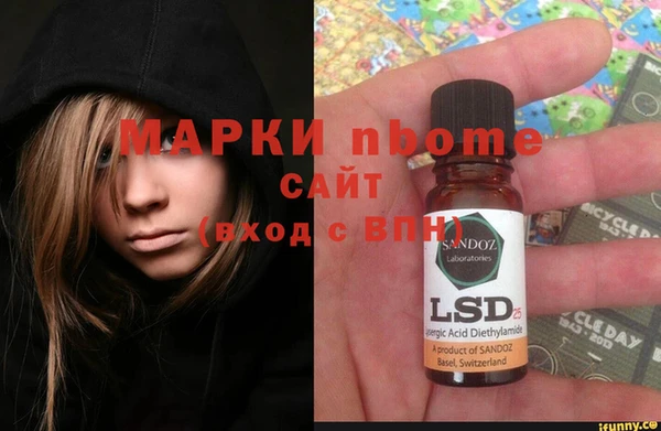 PSILOCYBIN Алзамай
