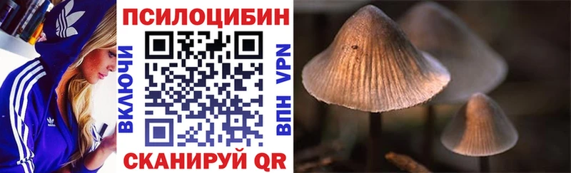 mega ССЫЛКА  сколько стоит  Невьянск  Псилоцибиновые грибы Psilocybine cubensis 